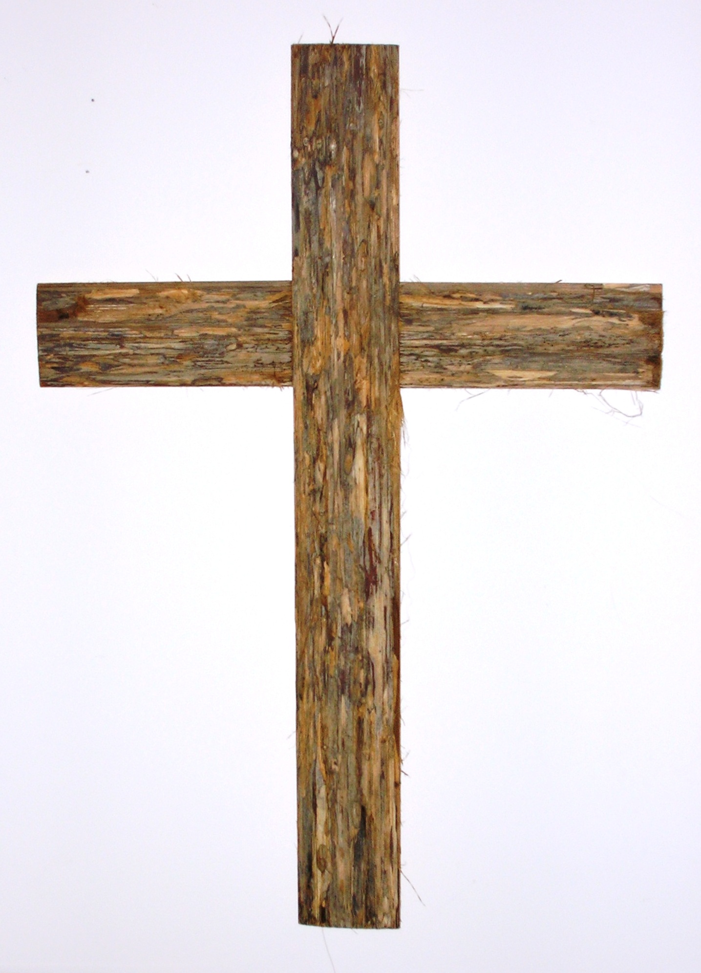 Rough_surface_with_Bark_d
